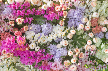 Flower bouquet soft pink pastel fluffy petal romance floral botanical background. flowers for Valentine, wedding, marriage, greeting wallpaper design