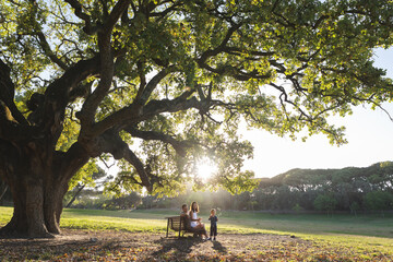 Cute family spending time in the park - parents sitting on a bench under big tree and their little son playing with soap bubbles