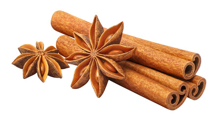 Delicious cinnamon sticks and star anise cut out