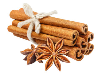Delicious cinnamon sticks and star anise cut out