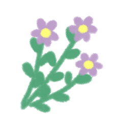 Fototapeta premium Flower violet 