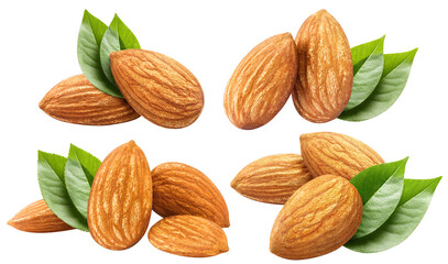 Set of almonds with leaves, cut out