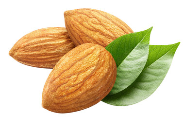 Fototapeta na wymiar Delicious almonds cut out
