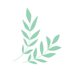 Composition of two pale green olive branches in flat style, floral clip art elements on white