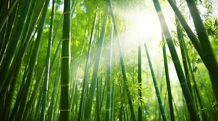 The flourish bamboo forest with glorious morning sunshine. Generative AI