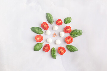 Ingredients For Caprese Salad in circle form tomatoes basil salt mozarella