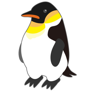 動物　水族館にいるかわいいエンペラーペンギンのイラスト