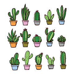 collection of hand drawn cactus