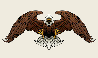 Fierce Bald Eagle Spread the Wings Vector Illustration