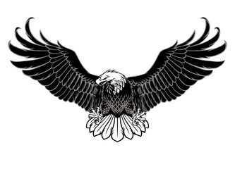 Spreading the wings of the Bald Eagle in monochrome Style
