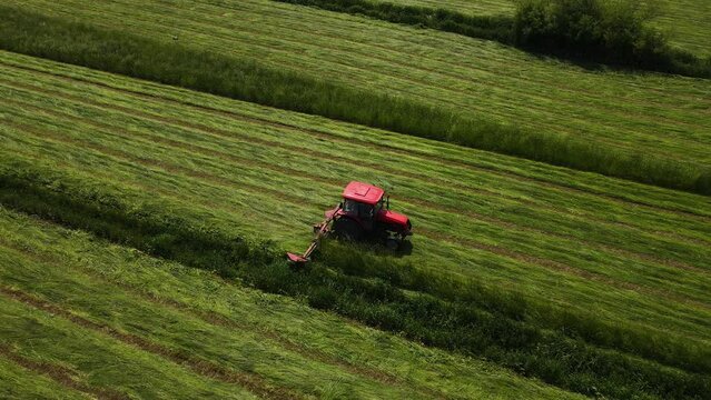 Agronomist on tractor with mower mows fresh green grass for silage, livestock feed or hay. Farmer work on agricultural field. Work in agronomic farm for making business and production organic eco bio