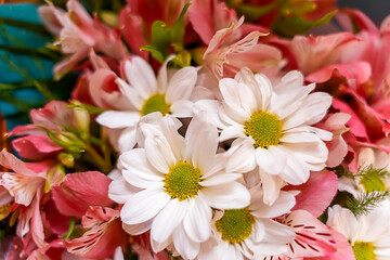 composition with chrysanthemum flowers, summer flowers 