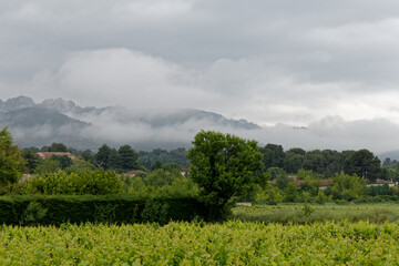 Les Dentelles de Montmirail sous les nuages de pluie à Sablet - Vaucluse - France - obrazy, fototapety, plakaty