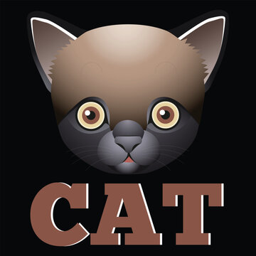 best happy cat lovers t shirt design vector