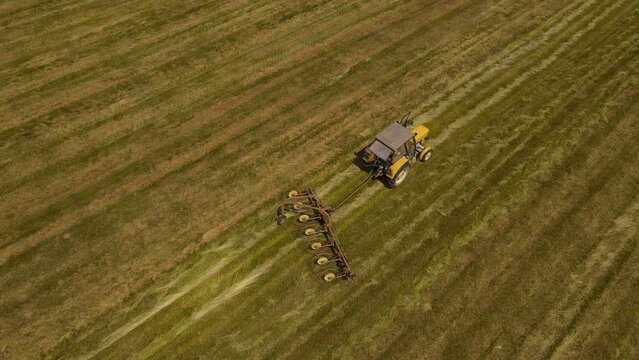 Tractor with hay tedder for drying grass on mowed meadow, hays spinner spreader. Work in agronomic farm for making business and production organic eco bio animal feed