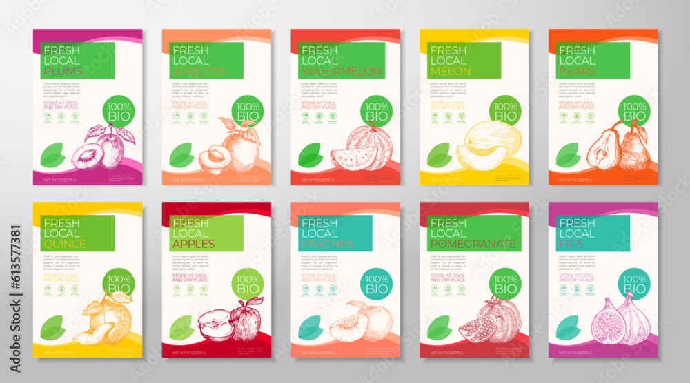 Canvas Prints fresh local fruits label templates collection. abstract vector packaging design layouts set. modern 