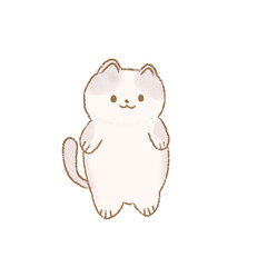 Cute cat