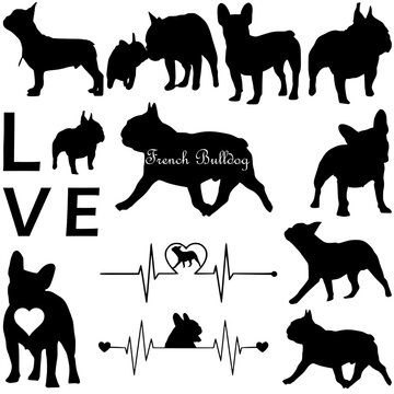 French Bulldog bundle Silhouette,Vector Silhouette of a French Bulldog  on a White Background,Set of illustrated silhouettes of French Bulldog dogs running.