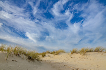 Vieux-Boucau is a village and tourist destination that develops around a sea lake, surrounded by dunes and beaches that form the typical landscape of the Landes region in France