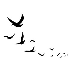 Vector bird silhouette