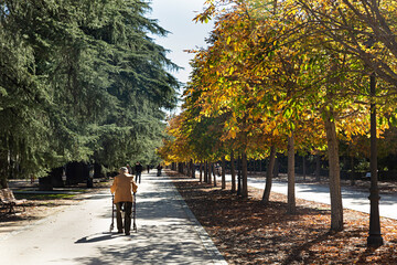 Anciano paseando con un andador por el parque del Buen Retiro, Madrid.
