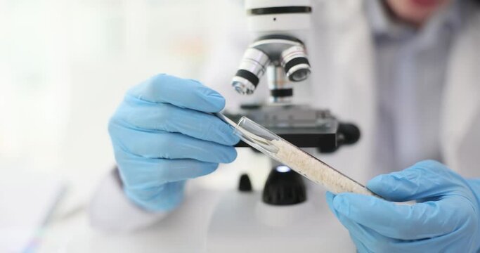 The chemist takes out white rice from the flask, close-up. Laboratory definition of fake, low food quality