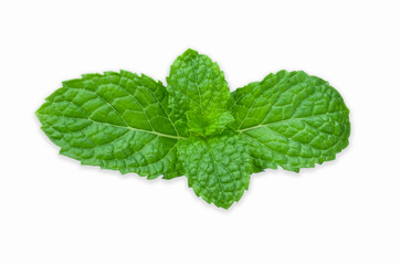 Naklejka na ściany i meble Fresh mint leaves isolated on with background with clipping path