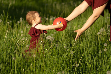 Bathed in sunlight, a tiny tot explores the delight of a red ball amid the lush green grass....