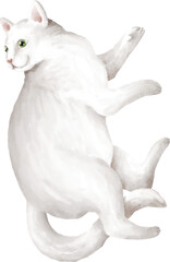 Lying cat top view watercolour illustration