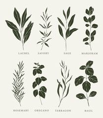 Flat vector herbs and spices collection © Maria