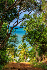 Obraz premium Arrival at Prainha, a beautiful small beach surrounded by preserved rainforest in Serra Grande on the south coast of Bahia, Brazil