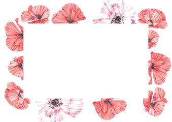 Horizontal postcard with watercolor illustrations of red poppies. Handmade work. Isolated.