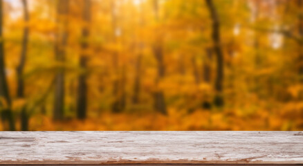 beautiful autumn landscape OUT OF FOCUS AND A SHARP TABLE