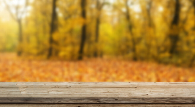 beautiful autumn landscape with a table in high definition