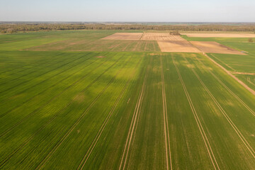 Obraz premium Drone photography of agricultural field and tractor tire tracks