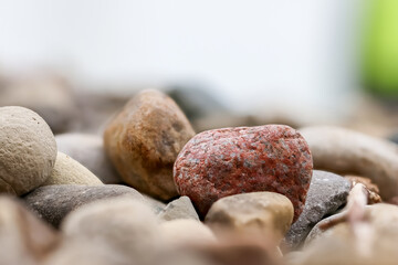 Close up view of smooth pebbles with shallow depth of field.