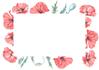 Horizontal postcard with watercolor illustrations of red poppies. Handmade work. Isolated.