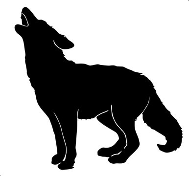 Wolf silhouette vector