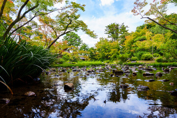 川が流れる晴れた日の日本庭園