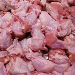 Chicken Drum Stick 