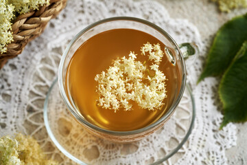 Fresh elderberry flowers in a cup of herbal tea