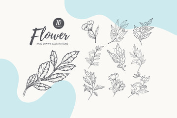 Naklejka premium Collection of hand drawn spring flowers and plants. Monochrome vector illustrations in sketch style.