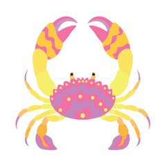 Beautiful crab on white background
