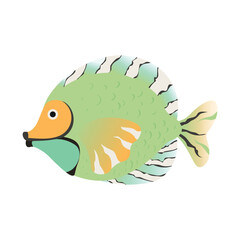 Beautiful coral fish on white background