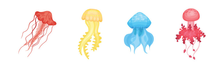 Colorful Jellyfish with Umbrella-shaped Bell and Trailing Tentacles Vector Set