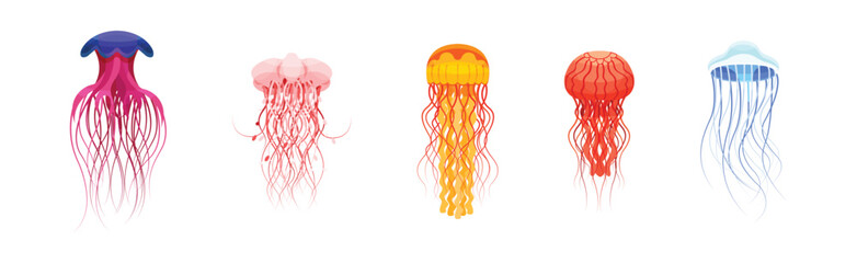 Colorful Jellyfish with Umbrella-shaped Bell and Trailing Tentacles Vector Set
