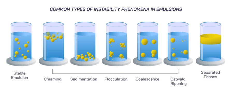 Emulsification vector illustration. dispersing liquid with immiscible components. Instability of emulsion. what is solution. types of mixtures, bioactive component and encapsulating material. process