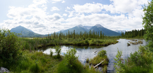 Panoramic view of a wetland in the mountains