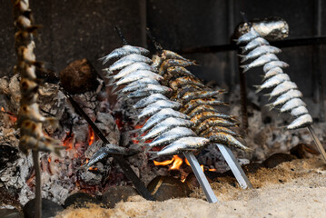 Close-up of sardine 