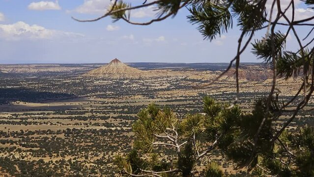 The Wickiup conical tower in the desert of San Rafael Swell framed by pine boughs. The rock is believed to be Archean in age, over 2.2 billion years old., some of the oldest on earth